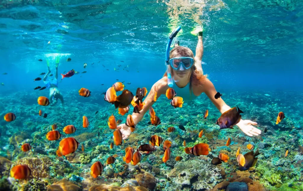 The Ultimate Guide to Planning a Snorkeling Tour for Two